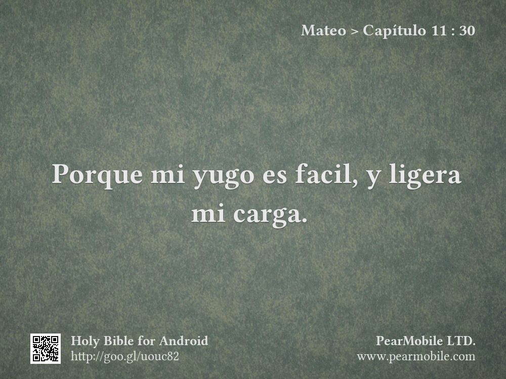 Mateo, Capítulo 11:30